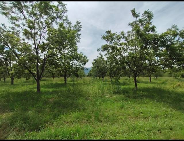 96HA FARM FOR SALE IN HEKPOORT